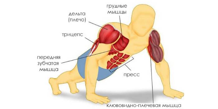 Trabalho muscular ao empurrar para cima do chão