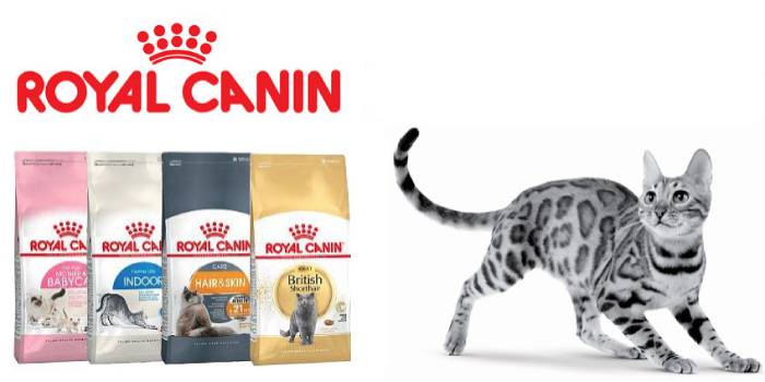Royal canin