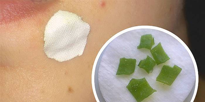 Compresa de hoja de aloe