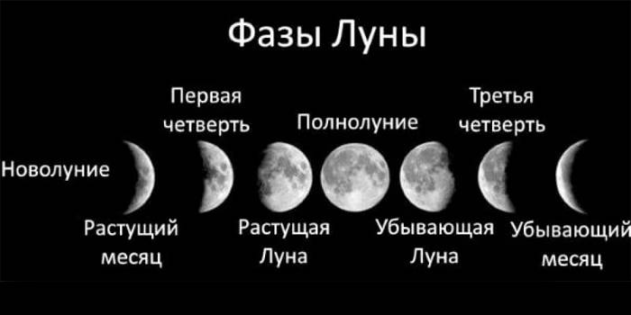 Fases de la luna