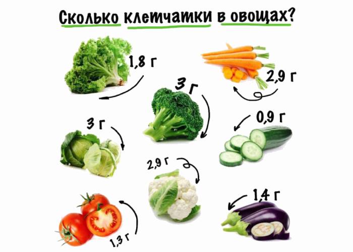 Fibra en vegetales