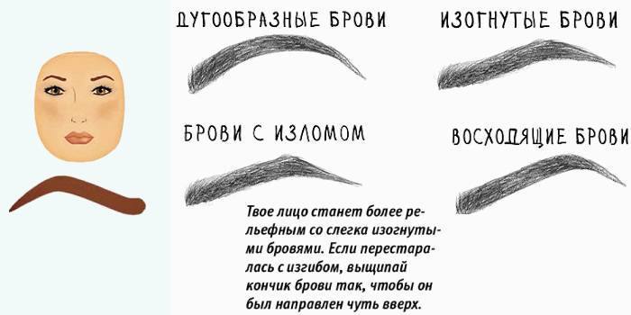 Cejas a juego con forma de cara redonda.