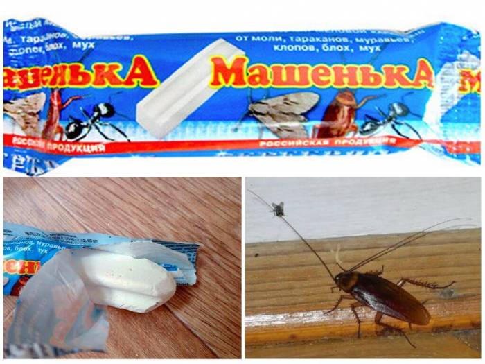 Crayon Mashenka