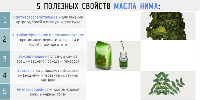 5 propiedades beneficiosas del aceite de nim
