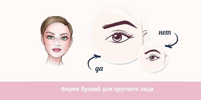 Cejas de gaviota