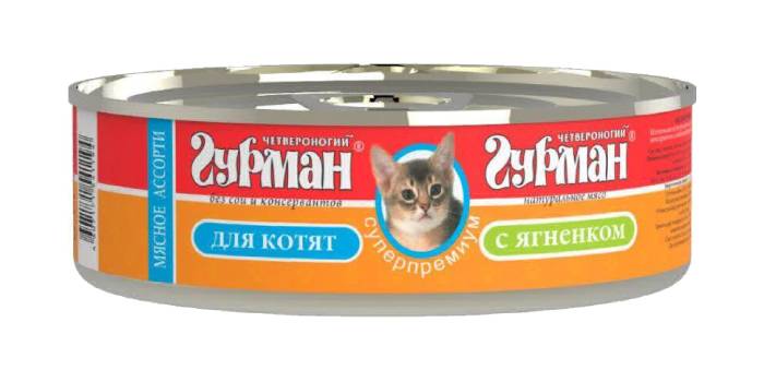 Gourmet so štyrmi nohami pre mačiatka
