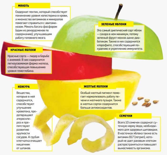 Os benefícios de maçãs de diferentes variedades