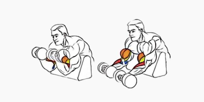 Arm curl