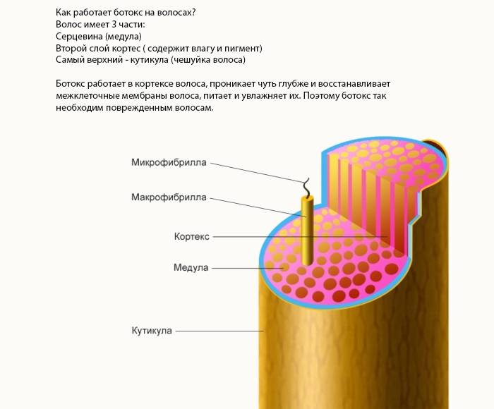 Cómo funciona Botox en el cabello