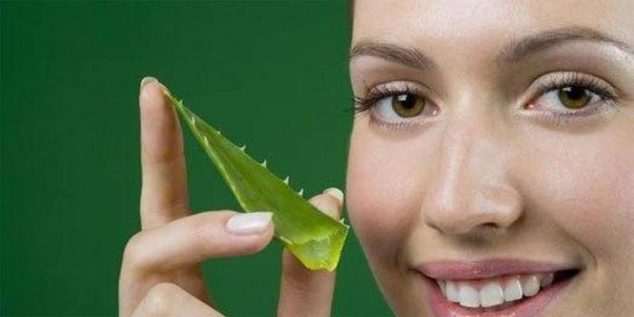Menina, aloe, folha