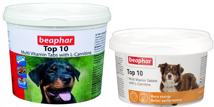 Top 10 od Beaphar