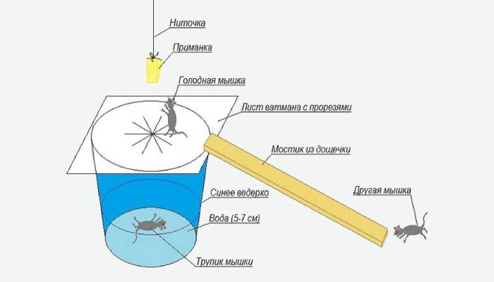 Papier i pułapka