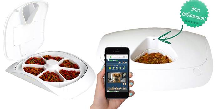 Feeder Feed and Go