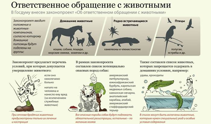 Zodpovedné zaobchádzanie so zvieratami