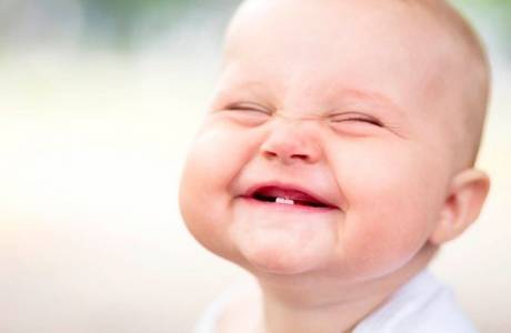 Temperatura de dentição