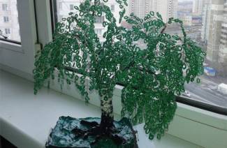 Bead Birch