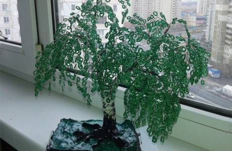 Bead Birch