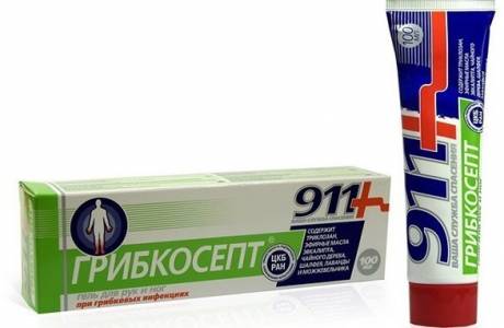 Cogumelo 911