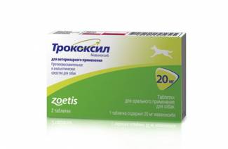 Trocoxyl dla psów
