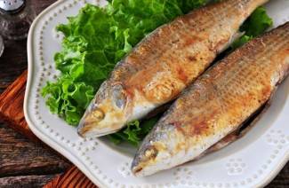 Salmonete