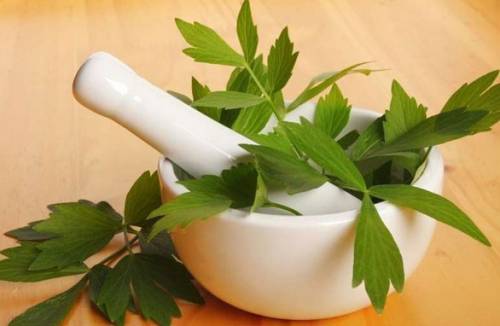 Alcoolismo lovage