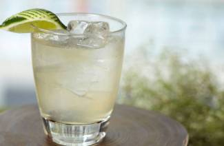 Gin koktaily