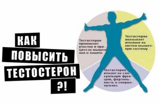 Jak zwiększyć poziom testosteronu u mężczyzn