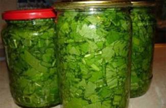 Sorrel para o inverno