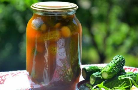 Chilli uhorky na zimu