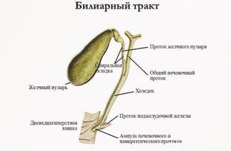 Biliárna hypertenzia