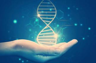Čo je to DNA?