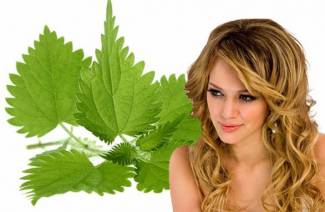 Ortiga para cabello