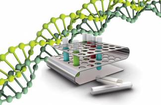PCR analýza
