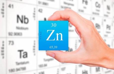 ¿Qué alimentos contienen zinc?