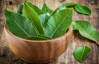 Laurel