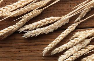 Jakie pokarmy zawierają gluten