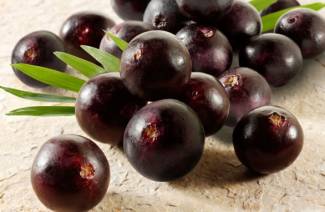 Acai Berries