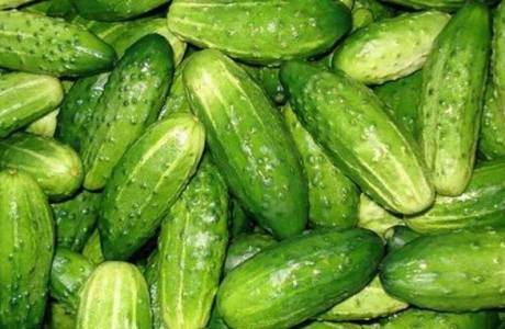 Pepinos em conserva sem esterilização
