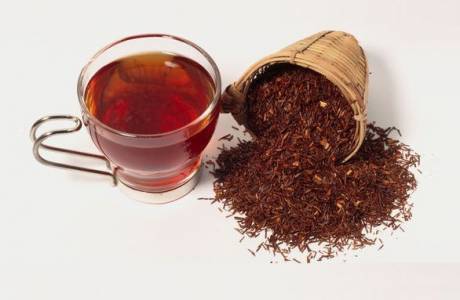 Rooibos de chá