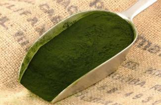 Propriedades úteis e contra-indicações de spirulina