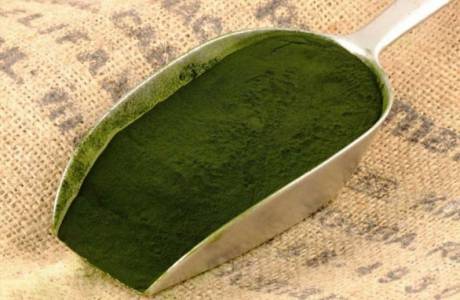 Przydatne właściwości i przeciwwskazania spiruliny