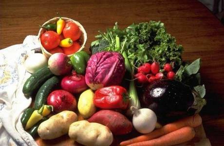 Dieta dna moczanowa