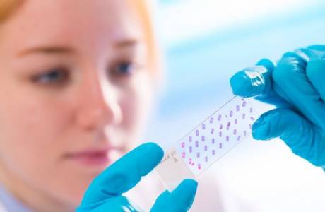 O que é histologia?