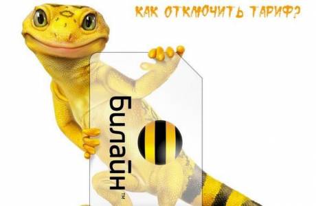 Jak zmienić taryfę w Beeline