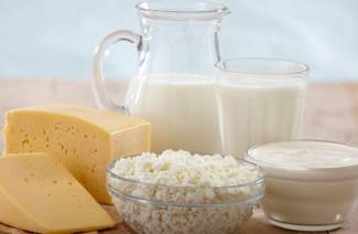 Produtos para disbiose