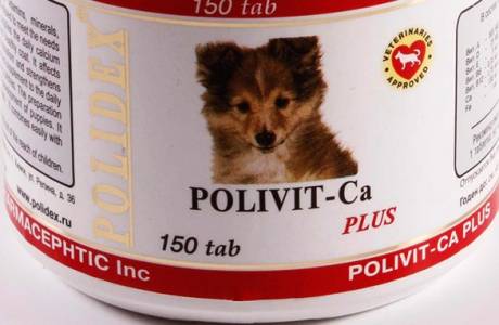 Vitamíny kalcia pre psov