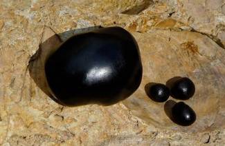 Recetas de mascarillas para el cabello de momia