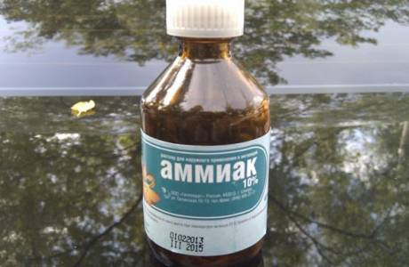 Amoniak