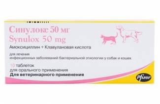 Sinulox para gatos