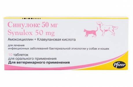 Sinulox dla kotów